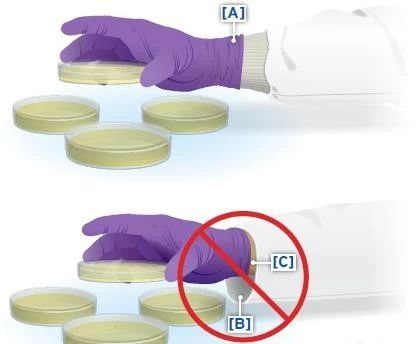 【设备维护】二氧化碳培养箱使用及日常保养攻略
